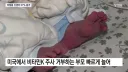 미국 안아키 최신근황