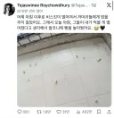 까마귀 밥을 주다 안주면 생기는 일