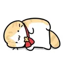 (포켓몬) 나 스위치 포켓몬은 항상 패키지만 샀는데...