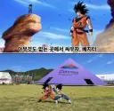 여수 박람회 근황???