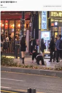 어제자 홍대 목줄녀