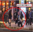 싱글벙글 홍대에 나타난 개목줄녀