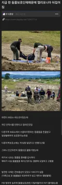 동물 보호단체의 어둠