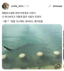 부산 친수공원 출몰 상어 근황.jpg