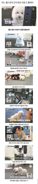 어느 헬스장 인사과장