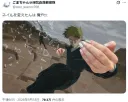 주술회전 팬이 네일 자랑하는 방법