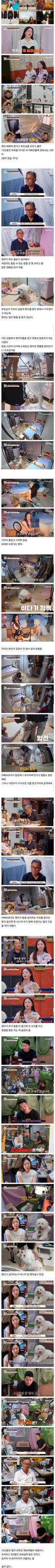 욕 먹고 있는 캥거루족 견주.jpg