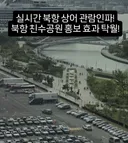 실시간) 부산 상어 관람 인파 ㄷㄷ