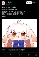 논란 터졌을까봐 시청자들 안심시키는 버튜버