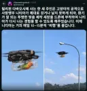 레딧 다친 앵무새 산책 시키기