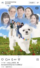 일본 트위터에서 소소하게 화제 중인 한국 사진 스튜디오