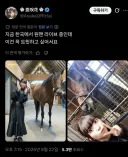 어제 일본 야구장 전광판에 등판한 연예인.