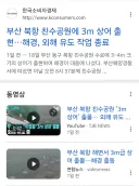 부산 북항 상어는 사실 쫓겨났었다.