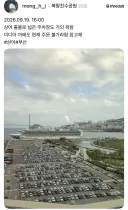 상어 출몰한 부산 북항 근황