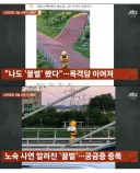 JTBC 사건반장 촬영거부한 꿀벌 인형탈
