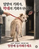 ??: 유기동물 일단 10일간 키워보고 안되면 반납하세요‼️