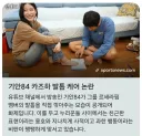 르세라핌 카즈하 발톱 깎아줬다고 논란중인 기안84