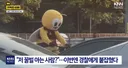 방송국 사람들 때문에 당분간 탈 안쓴다고 글 쓴 꿀벌씨