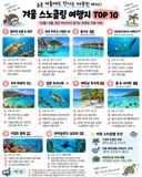 겨울 스노쿨링 여행지 TOP10