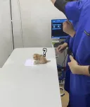 왠지 오늘 하루종일 운수가 좋았던 고양이