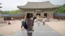 부산 이어서 경주도 외국인 관광 터지기 시작한 거 같다네요 (펌)