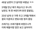 남편의 외도 (쓰레드 펌)