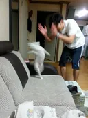 지지율 지하실 맛을 봐도 정신 못 차릴 듯요