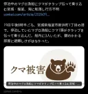 일본 곰 현황