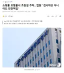 쇼핑몰 모형물서 초등생 추락..법원 검사대상 아니어도 안전책임