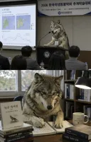 이미 민심에서 북항 상어가 이겼다.