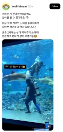 우리도 상어 있어요 ㅜ