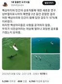 상어에게 인간은 매력적인 먹이가 아니다.jpg