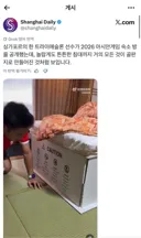 일본 아시안게임에 어김없이 나타난 것