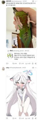 앵무새 발그리는 꿀팁공유