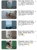 날것 상태의 먹방 시작한 구성환 근황