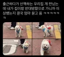 출근하다가 만난 반려견.jpg