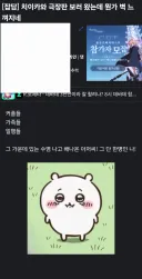 치이카와 보러 갔다 마상 입은 유게이 확인사살