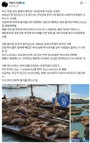 부산 북항 상어 출몰과 비슷한 미국 사례.jpg