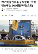 여수)섬박람회 해외 여행이 소름 돋는 이유