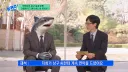부산 상어 다음 행보 예상