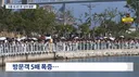 상어 새끼도 발견된 부산 북항.jpg