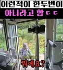 시골 카르텔