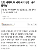 인간 뇌세포가 이식된 쥐 두뇌 근황.jpg