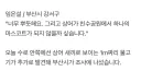 부산 상어 출몰이 장기화 될거같은 이유