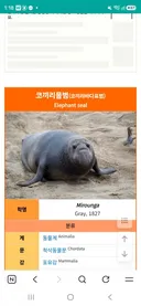 여수섬박람회 대박터트릴 방법