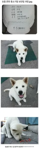 중소기업 보안팀 과장
