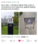 야니네코)실화 의혹.x