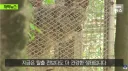 가출했다 돌아온 늑구 근황