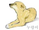 누렁이 한테 이쁨받고싶다
