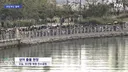 상어야 사랑해 어린이 등장 (펌)